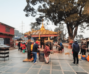 generate image Attractive and